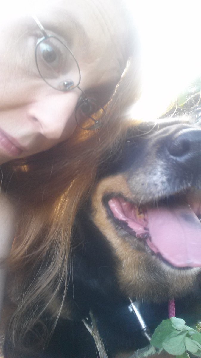 waynotway's tweet photo. #Wayku
A walking sorrow
bears the weight of all tomorrows
without my best friend.
#RIP
Rhett
smiley-wiley teddy bear-dog
Butler
2002-2017 https://t.co/OV5vAtXxmb