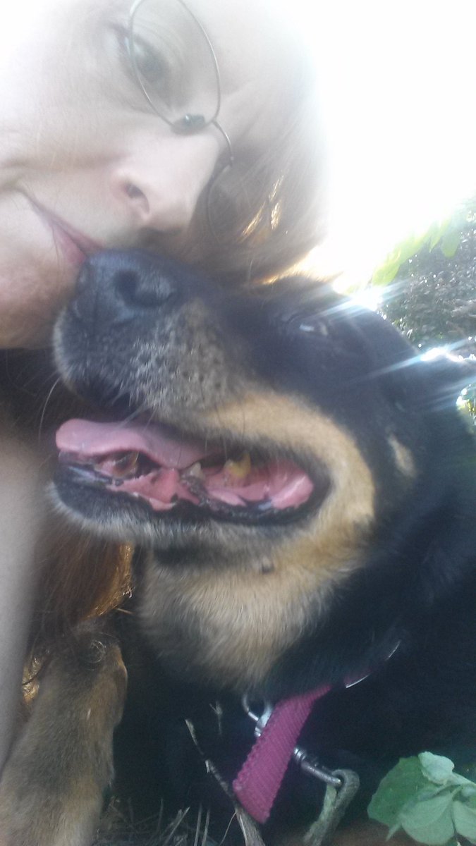 waynotway's tweet photo. #Wayku
A walking sorrow
bears the weight of all tomorrows
without my best friend.
#RIP
Rhett
smiley-wiley teddy bear-dog
Butler
2002-2017 https://t.co/OV5vAtXxmb