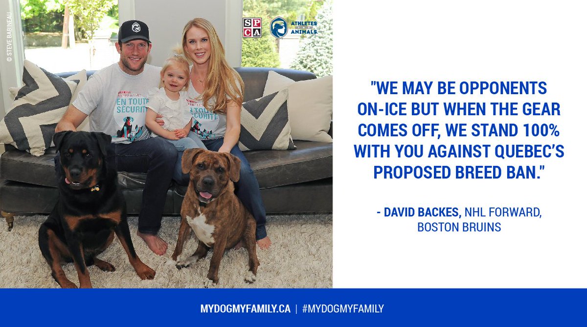 SPCAMontreal's tweet image. David Backes, NHL forward for the Boston Bruins, support the Montreal SPCA #mydogmyfamily #endBSL mydogmyfamily.ca