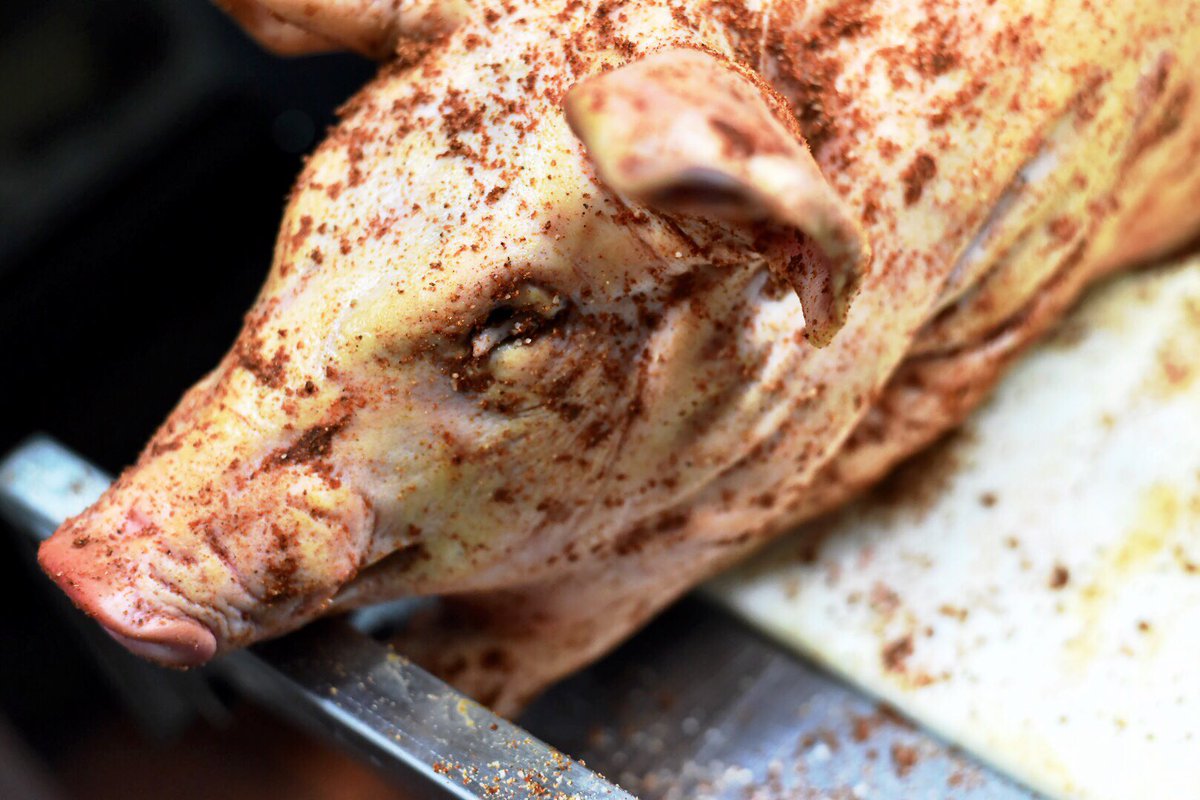 edgarseeya's tweet photo. Sneak peek of the hog for @VCBW's I.P.Hazy cookout at @lamplighter_pub tomorrow. https://t.co/znvImrkuAt