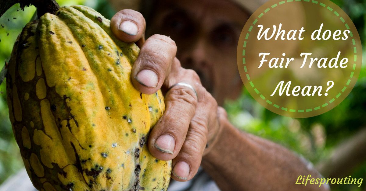 LifeSprouting's tweet image. What does Fair Trade mean and why should you buy Fait Trade? Find out here! As always  Please ❤️ and RT! #fairtrade buff.ly/2rVare6