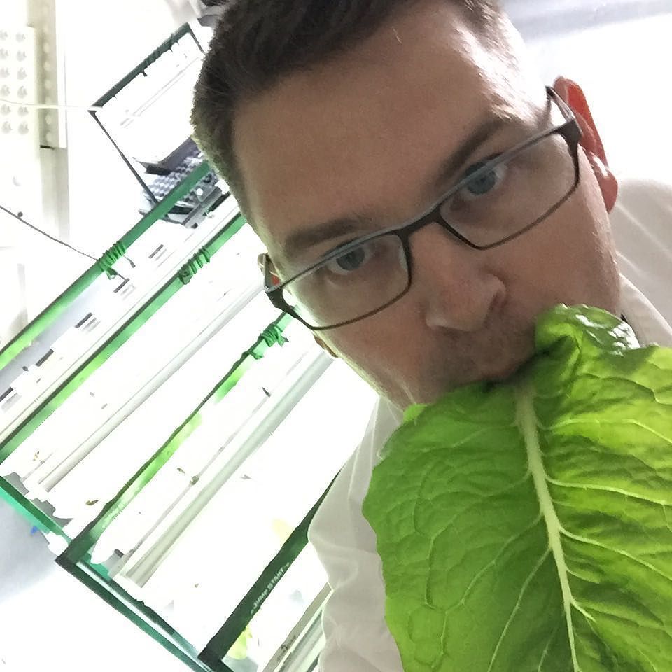 mkchristianson's tweet image. 🐰🌿#hydroponics #undergroundgardens #couldntwait #nineslife