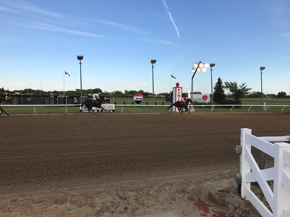 XploreBusiness's tweet photo. You've Picked a winner with @NetSetMB @AssiniboiaDowns @ManitobaHeavy! #proudsponsor #NeedSpeed #SureBetWithNetSet https://t.co/VoQCrT7vxg