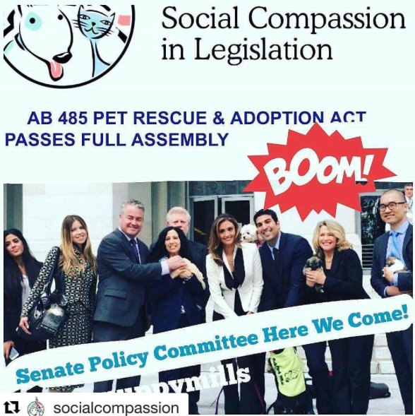 JamesonARR's tweet photo. Thank you to all who worked so hard pushing for #AB485 to pass! It has passed! #SocialCompassionInLegislation https://t.co/U7xrK2AuPg https://t.co/LMqJf9NVny