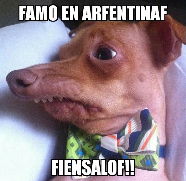 SoyFansDeSamo's tweet photo. #TourEternoArgentina @UMArgentina @SAMOALLSTAR @Producciones_NR https://t.co/BtBtI0ffgz