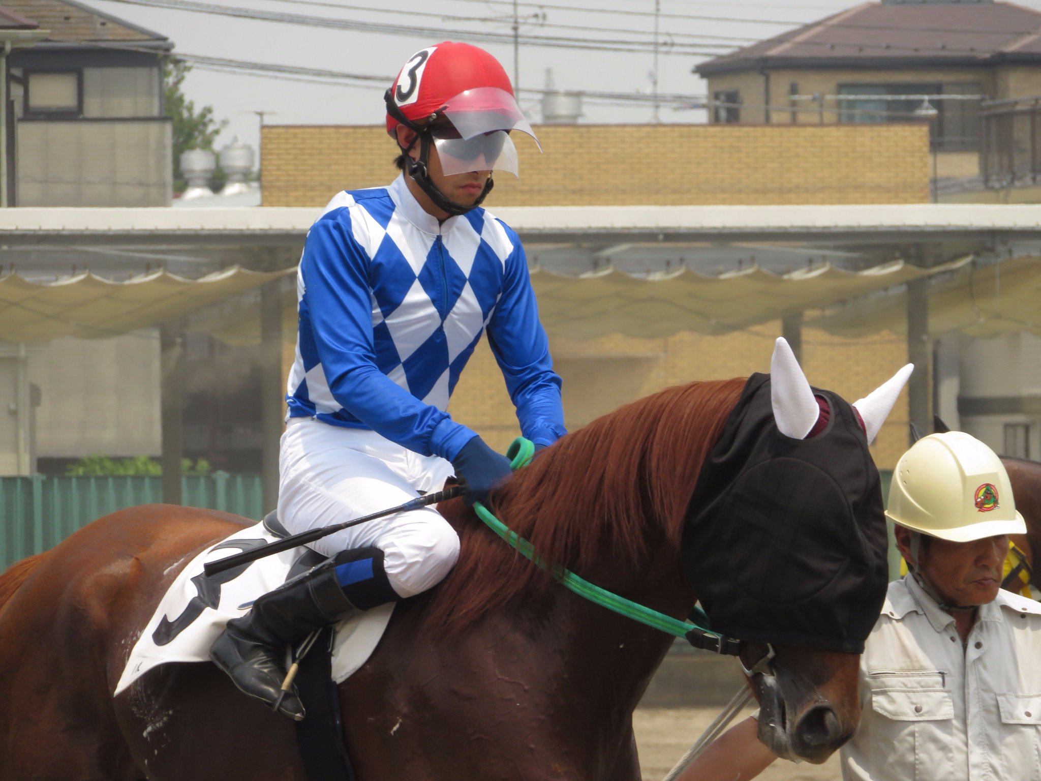 トサミドリ در توییتر 浦和競馬場 浦和１ｒ バジガクサリーレ フォロワーさんのお馬さん ジョッキーが騎乗してドヤ顔を披露 ゲート難なのか最初から目隠ししてのゲート入り
