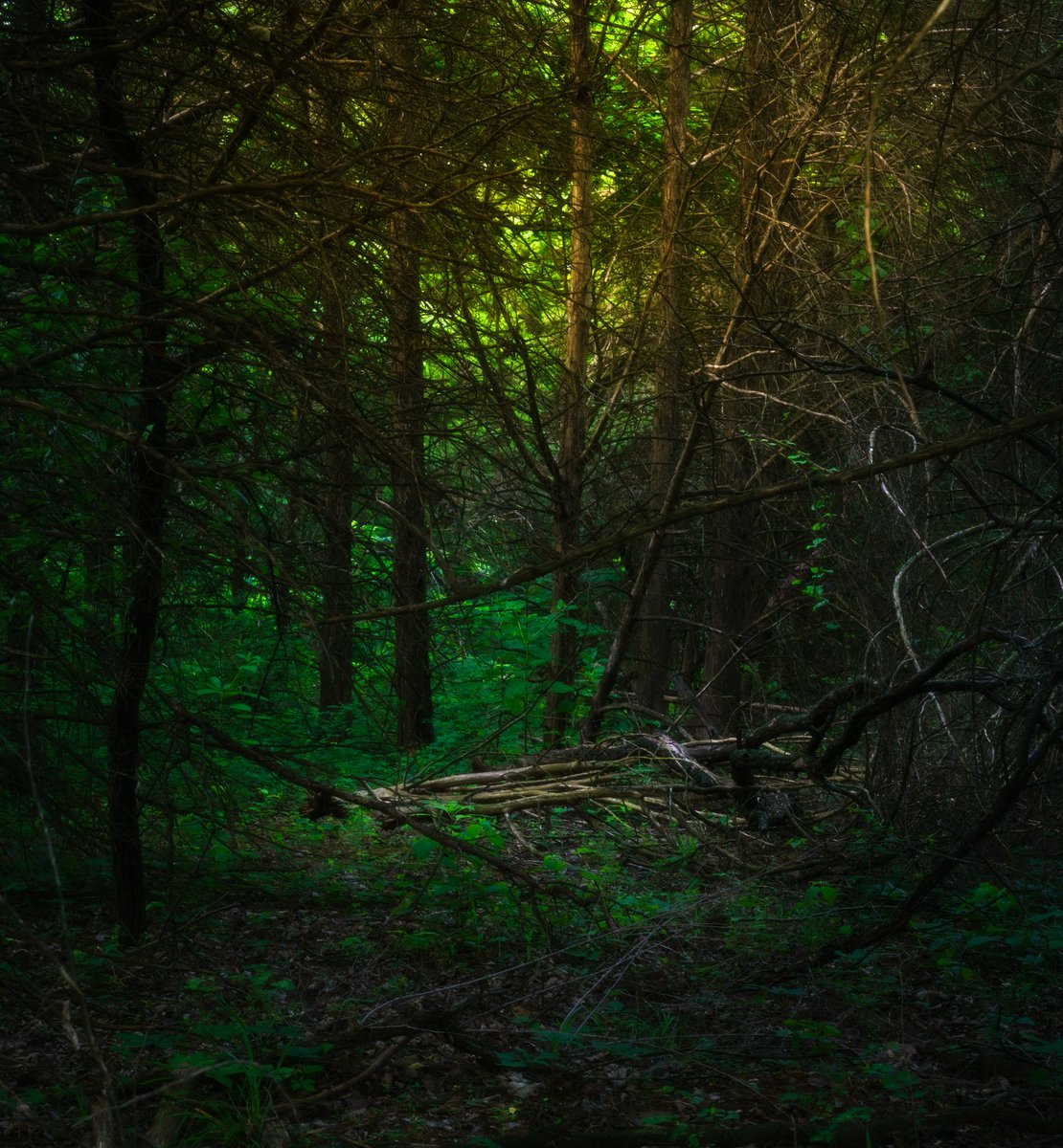 Mikeybennettph1's tweet photo. Taken moments before sunset!
@Sony A7rii
0.8 sec | ISO 1600 | f/16
#SonyAlpha #a7rii #Sonya7rii #byecanon https://t.co/w0EWJjmBLw