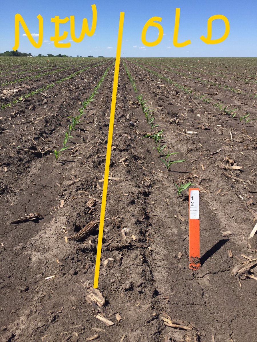 DirtyAgronomer's tweet photo. Out with the OLD and in with the NEW. That's the seed biz... #P0574AMXT came smokin' out of the ground in tough conditions. 2018 #YieldHero https://t.co/z4pl0COacj