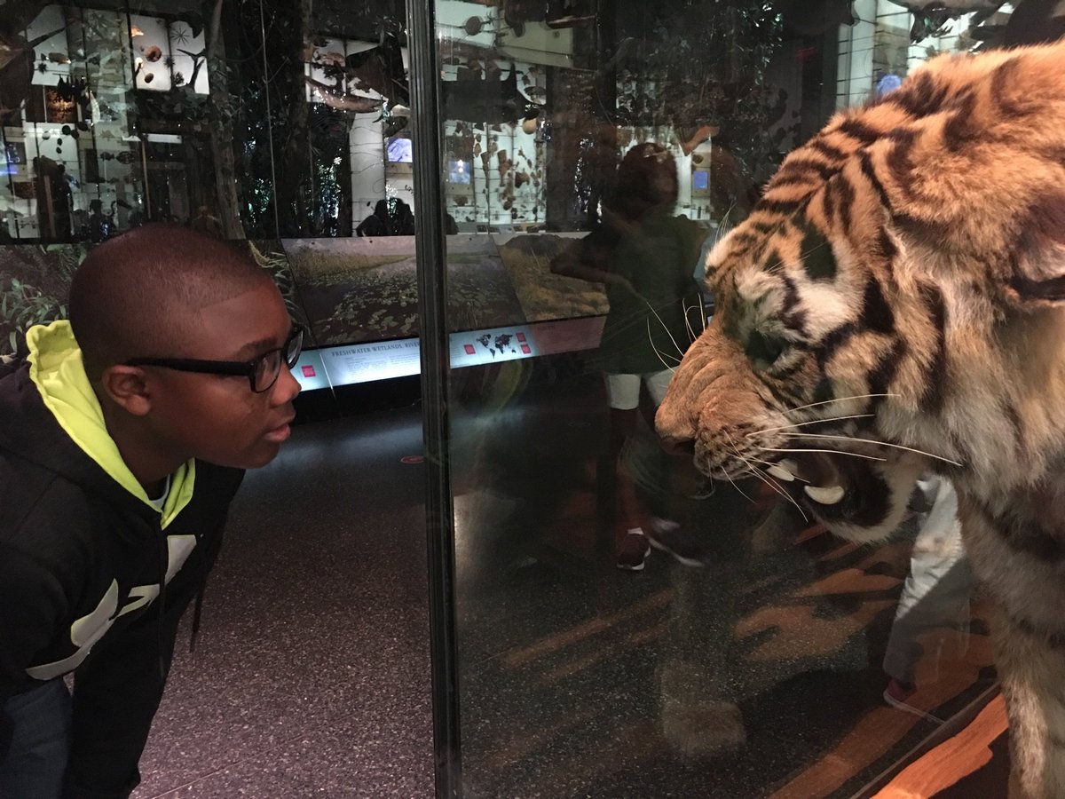 RHMSZooMagnet's tweet photo. @RHMSRaiders zoo magnet students are enjoying the educational tour of the "Big Apple" @MDCPSSouth @miamimagnets @zoomiami  @MightyRaidersAP https://t.co/UD17HaNMS6
