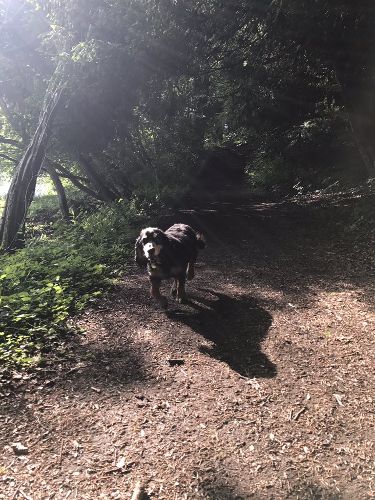 Lucy King tweet media