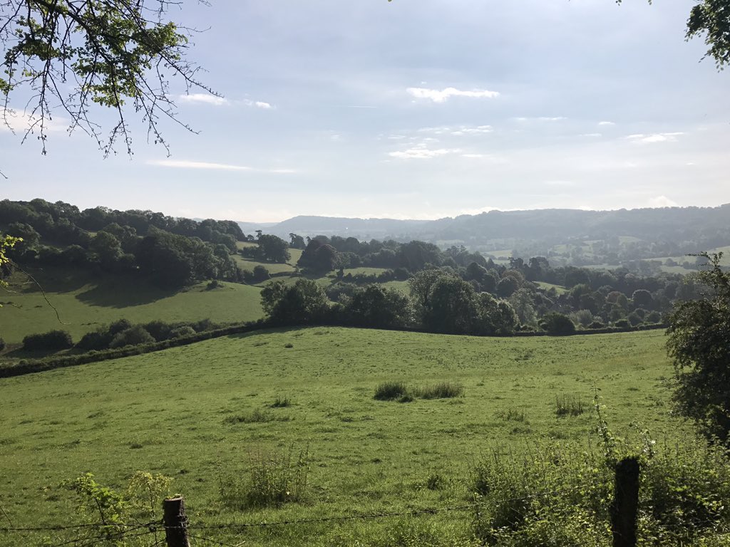 Lucy King tweet media