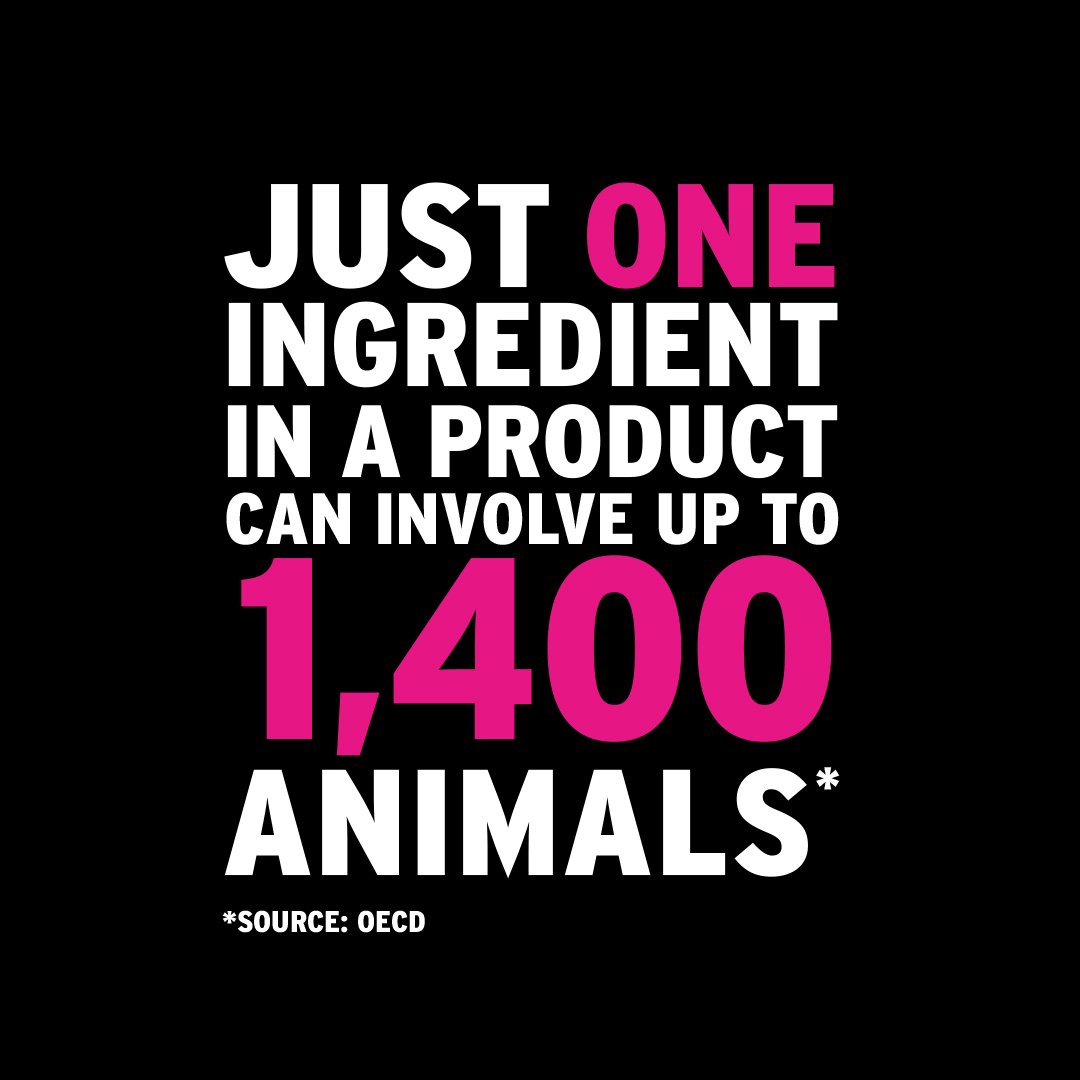 The Body Shop UK on Twitter: The Body Shop UK on Twitter: