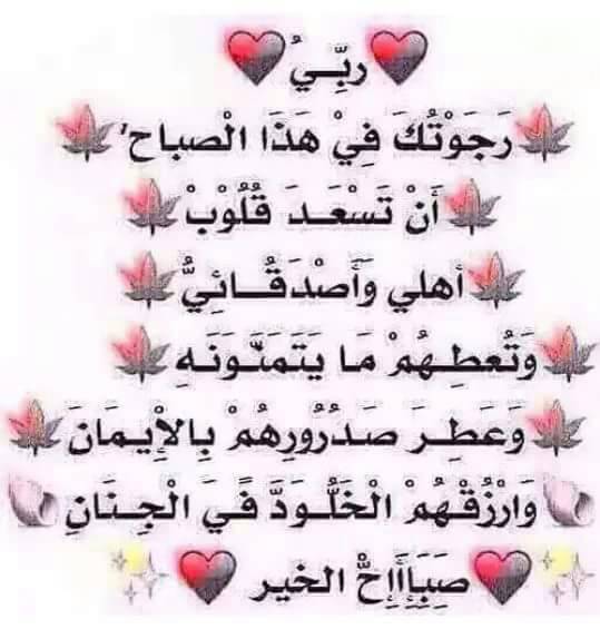 ramyzaky3's tweet photo. https://t.co/SXmeVxyocs