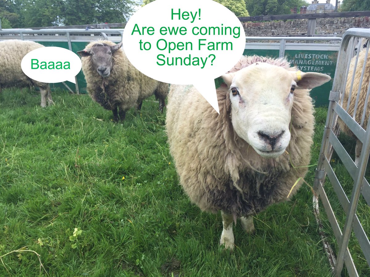 OpenFarmSunday's tweet photo. Hello June! Our favourite month of the year because this is when Open Farm Sunday takes place. 11 June is the date. https://t.co/B1tk8023jo https://t.co/SCdpDH3dXU