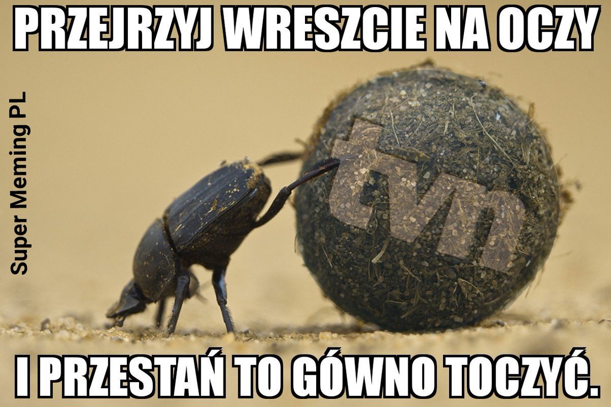 https://pbs.twimg.com/media/DBN4I6BW0AMfufg.jpg