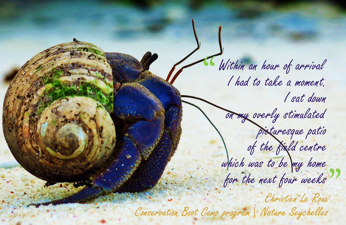 NatureSey's tweet image. Follow this link to learn more about our new, exclusive and unique #ConservationBootCamp program cousinisland.net/get-involved/c…