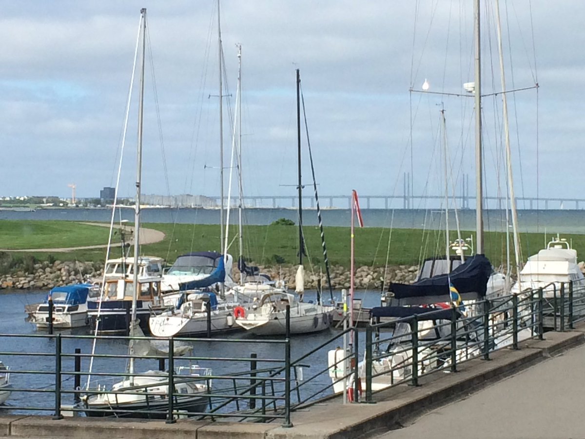 gardeningdavid's tweet photo. @designsland @JohnRoseLtd the view from the window in Malmo. Looking forward to a day of judging @malmostad #malmögardenshow https://t.co/kK0bV7Lqs0