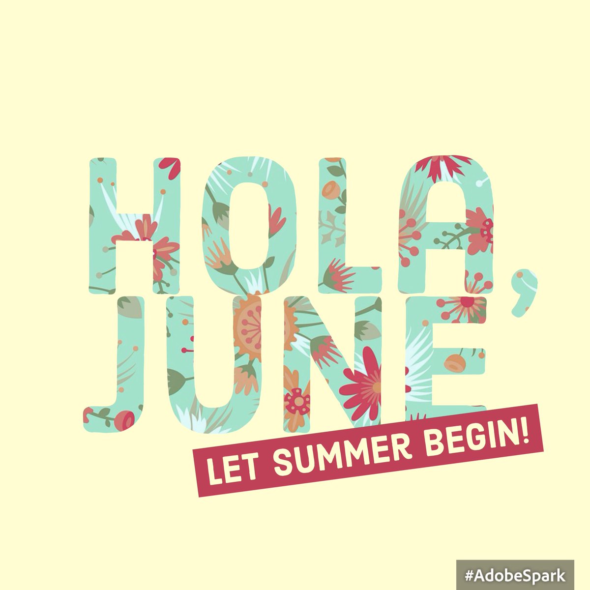 Humming_bird_ds's tweet photo. Good morning #UKEarlyHour #holajune #letsummerbegin the sun is shining what prospects does today hold for you? https://t.co/U561FPFbjN