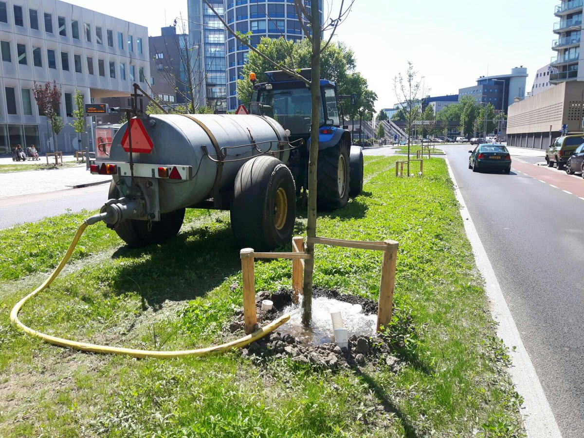 Stadsbeheer010's tweet image. Drink genoeg #water met #warmweer. Ons team @Boomverzorging geeft de nieuw geplante jonge bomen een flinke extra 'slok' tegen de #dorst.