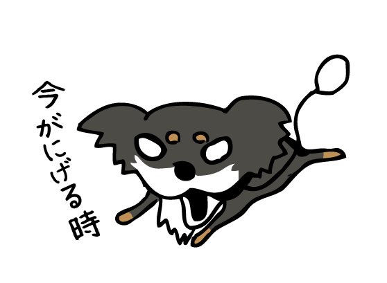 チワワのtwitterイラスト検索結果 古い順