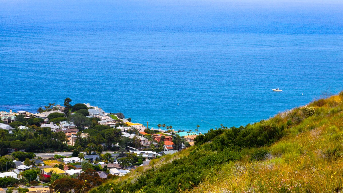 ClaytonJJensen's tweet photo. (The view from above Crystal Cove🌅, California)
#FrameLife🗻
@newoceanmarketing🌊
#TravelPhotography🗼
@imagingworldwide🌄
#SavetheEarth🌍 https://t.co/AMxgV4hXxJ