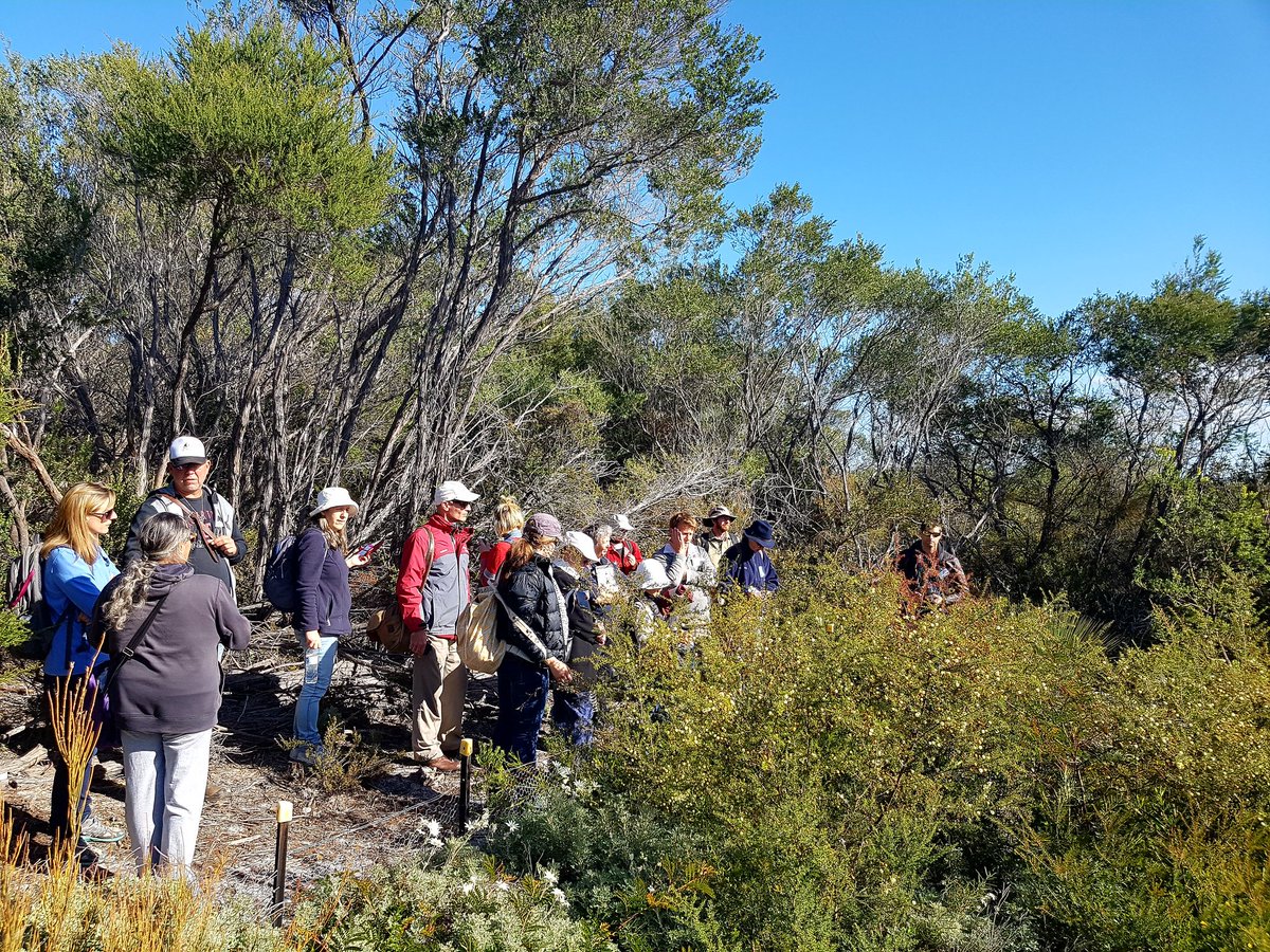 MichelleMcKemey's tweet photo. @naturensw field trip discovering fire mgmt in metropolitan areas #bushfireconf https://t.co/17DBDRyfQc