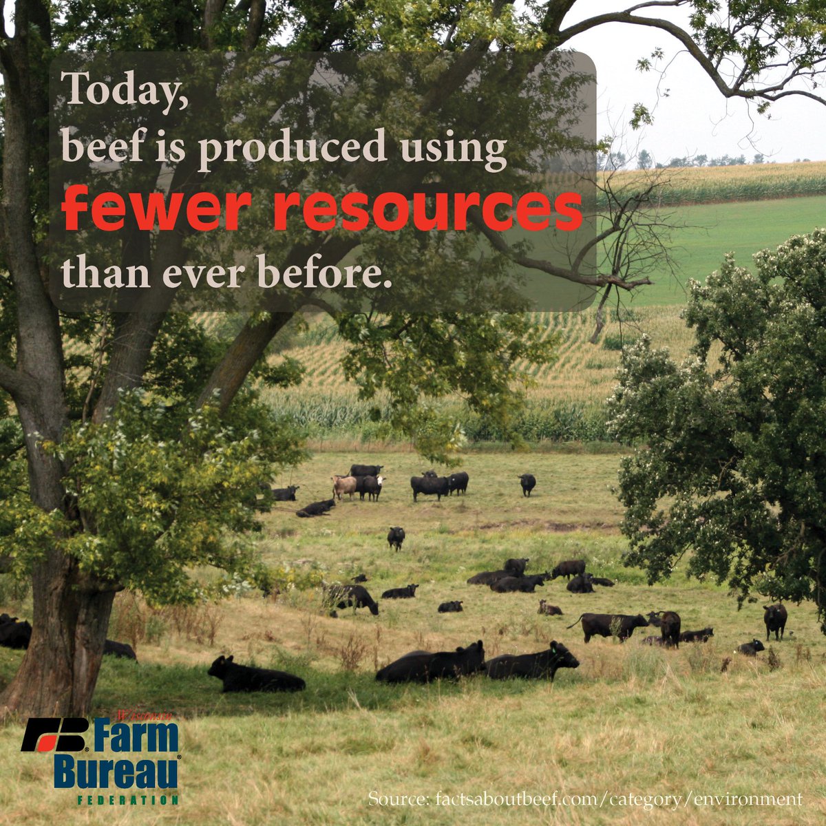 WIFarmBureau's tweet photo. #BeefMonth #Sustainability #MeatTruth https://t.co/JZ7w4LuQkr