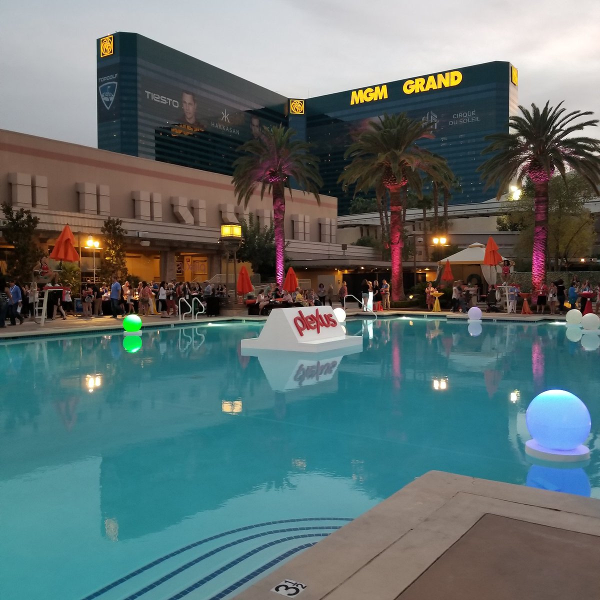 PlexusWorldwide's tweet image. Welcome to the dessert reception. But first #plexusblock. #plexusbelieve