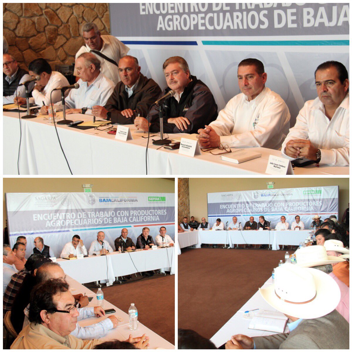 KIKOVEGA_'s tweet photo. En compañía de SAGARPA, nos reunimos con productores agropecuarios para fortalecer las estrategias en beneficio de este sector en BC. https://t.co/DxWnTPAhk9