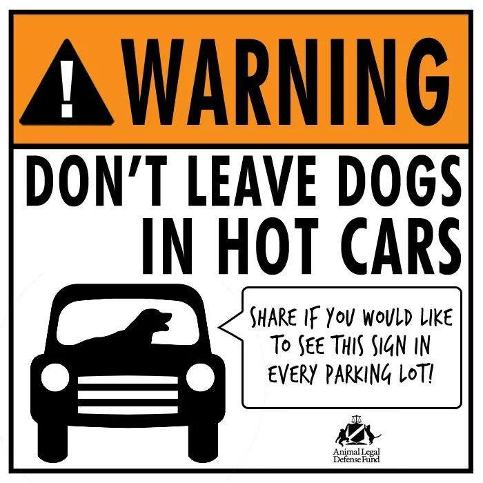 K9Conservation's tweet photo. https://t.co/ca3Hhf3BQZ