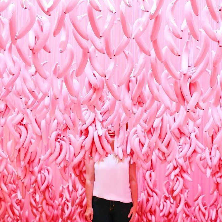 altsummit's tweet photo. Laughter is always the best medicine! Just ask @thesaltycanary about her visit to #icecreammuseum. #altalum #altsu… https://t.co/LzWKIDYbRR https://t.co/6uugCE9C8T