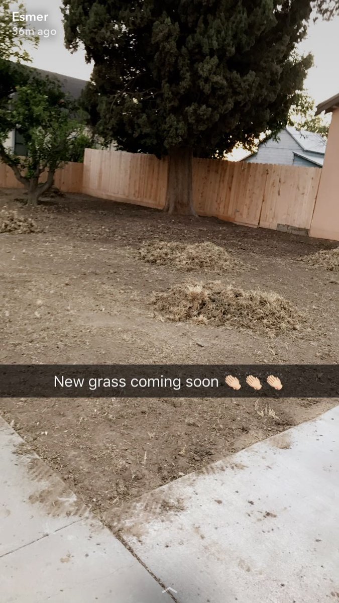 Lovely_Esmer's tweet photo. From snap to twitter. #basicbitchcaption https://t.co/PGFPv1OsfX