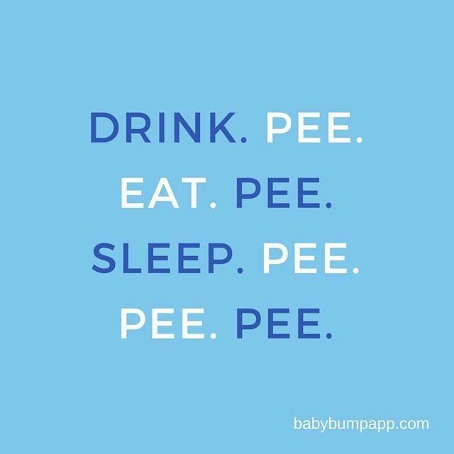 angrylilbitch's tweet image. #SmallBladderProblems