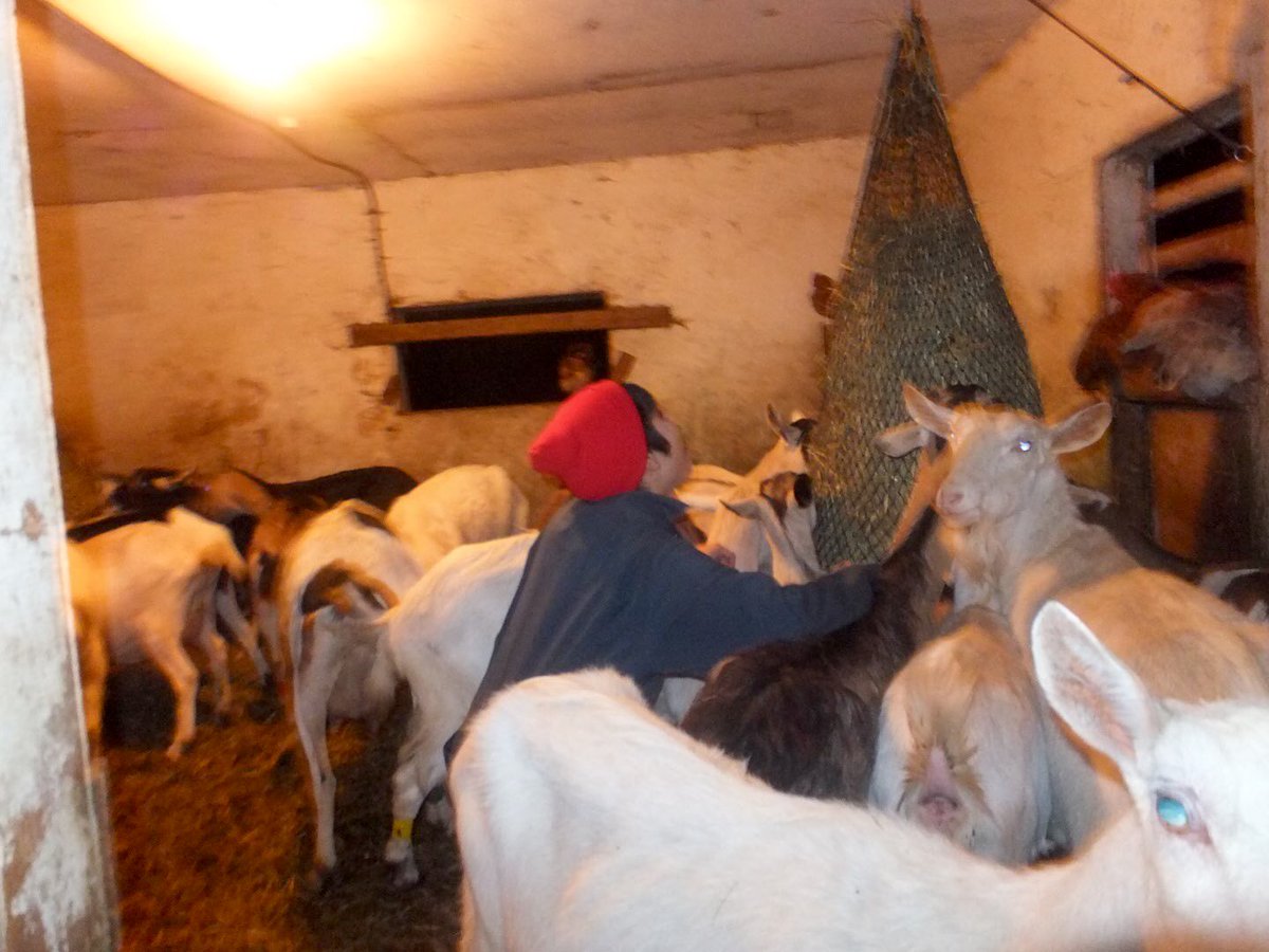 【メンバー紹介3】
Pedals最古参 3年目のパパ枠👱
社会学研究科 M1
山口雅矢

ダイエット中院生です。

戦争・平和についてたくさんの方と考える機会を築いていけたらと考えてます😉
立ち上げから関わっており、Pedalsの理念を多くの人に共有出来るよう頑張ります✨