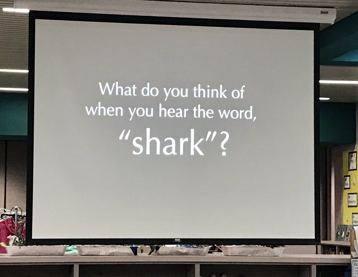 RoderickGayta's tweet image. Learning about shark conservation during Ocean Week #sbsdssf #sbsdedu
