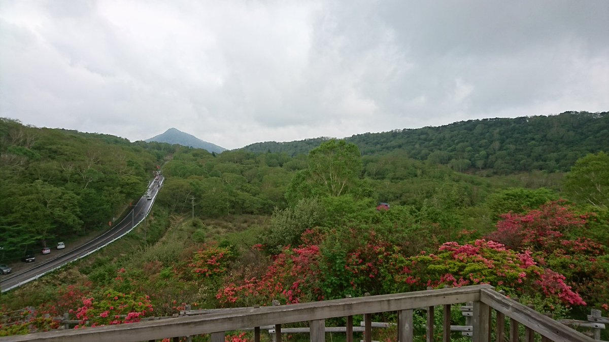 赤城山 青木別館 Pa Twitter 赤城山新坂平 見晴山展望台と山頂付近の山ツツジ風景 開花状況五分咲き 赤城山 新坂平 見晴山 山ツツジ