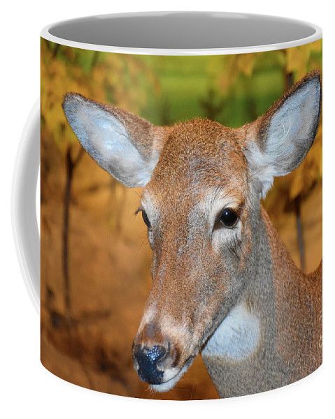 Beautiful Deer Coffee Mug for Sale by Ray Shrewsberry – buff.ly/2rd29x8
