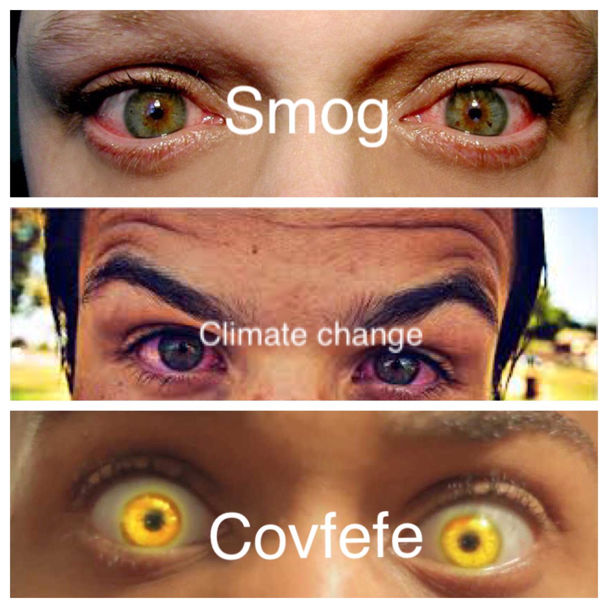 CityGirlsGuide's tweet image. #covfefe