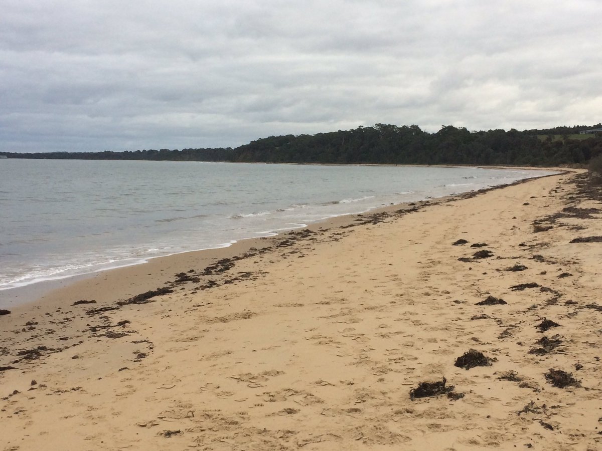 martinjcowling's tweet photo. #MerricksBeach #MorningtonPeninsula #Australia #travel https://t.co/TTkrJeByZR