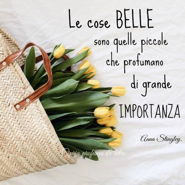 Cerco amica sana e pulita Cerco amica sana e pulita