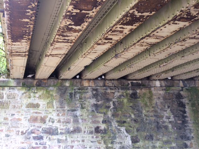 Pigeons perched on a #Redruth railway bridge are causing problems below as their droppings create a dirty slippery pavement.
