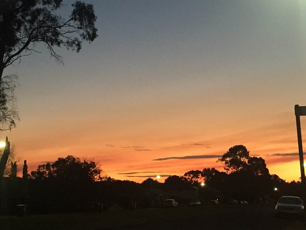 Prudential Real Est. tweet media