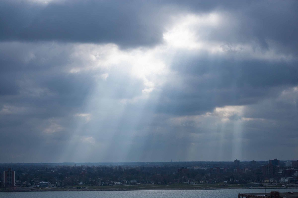 FotoMaryDetroit's tweet photo. From my perch in Lafayette Park, Detroit, December 5, 2016 https://t.co/rXNO864IXV