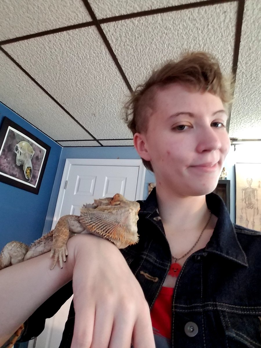 l_a_u_h_a_y_719's tweet photo. Me taking selfies with Pogo the bearded dragon @TheDrawingZoo . We're both goofs. #beardeddragons #animals #selfie #hessuchasweetboy #me https://t.co/n2cYm4ZjyD