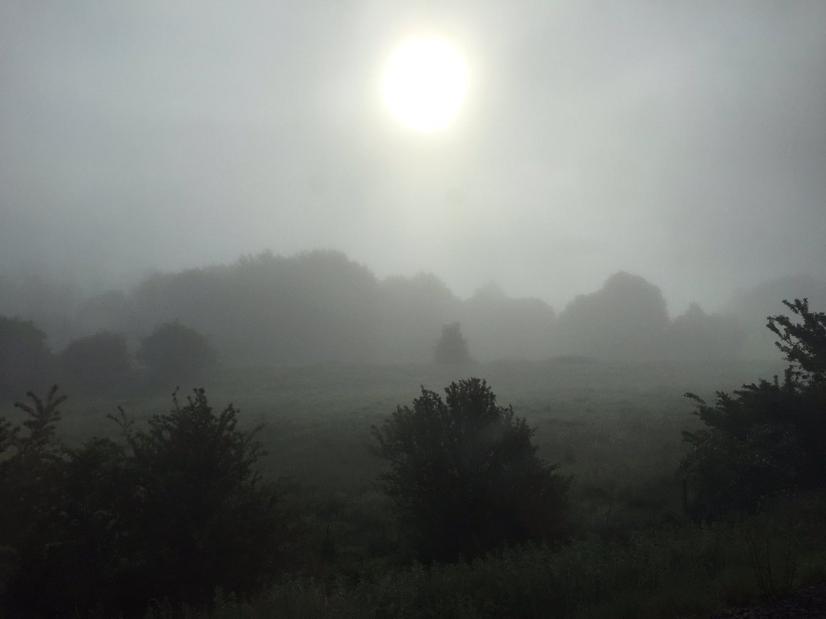 RobKRead's tweet photo. Misty #commuteviews https://t.co/UZTmznsfAW