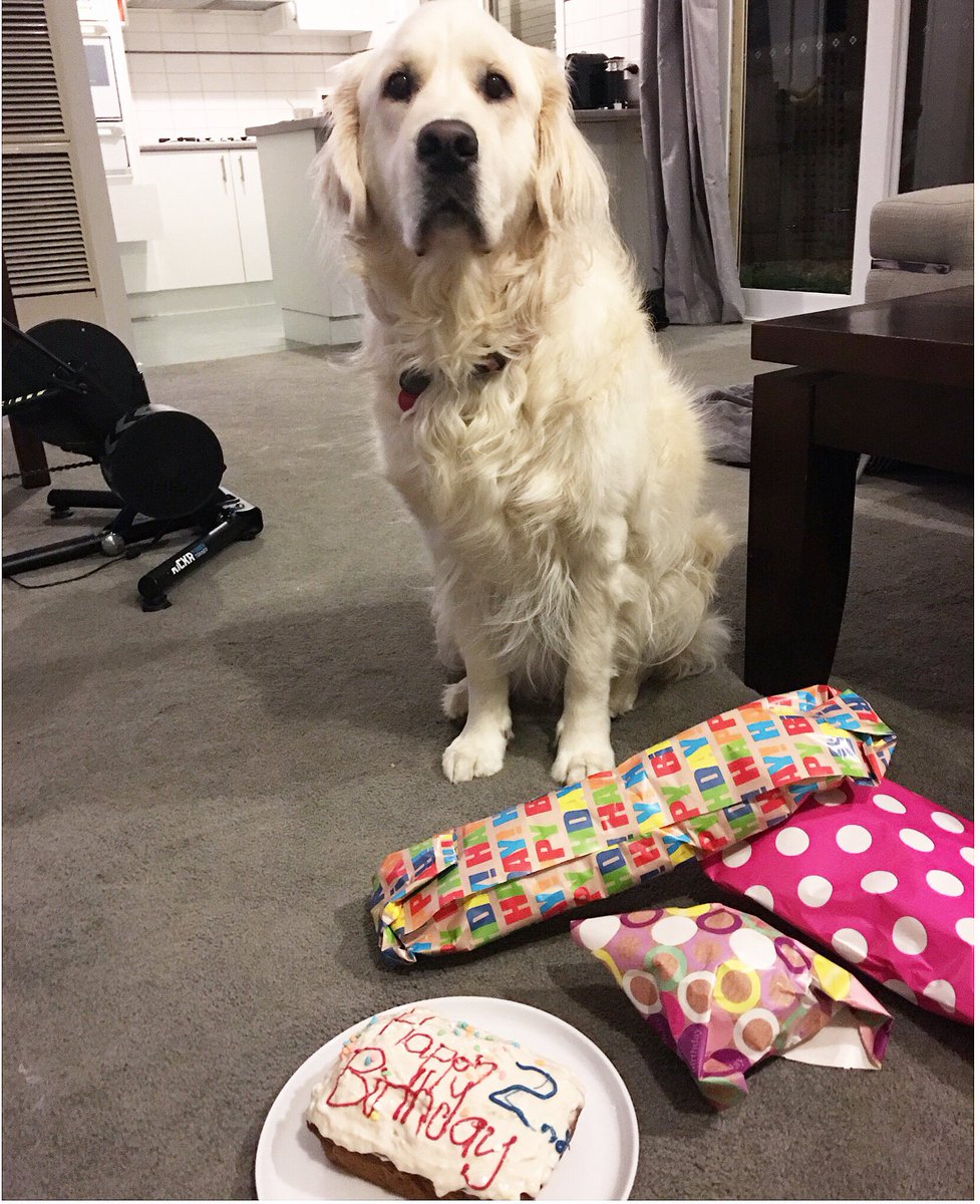 CourtneyField1's tweet photo. Happy 2nd birthday to my boy https://t.co/Mxi45qLv3q
