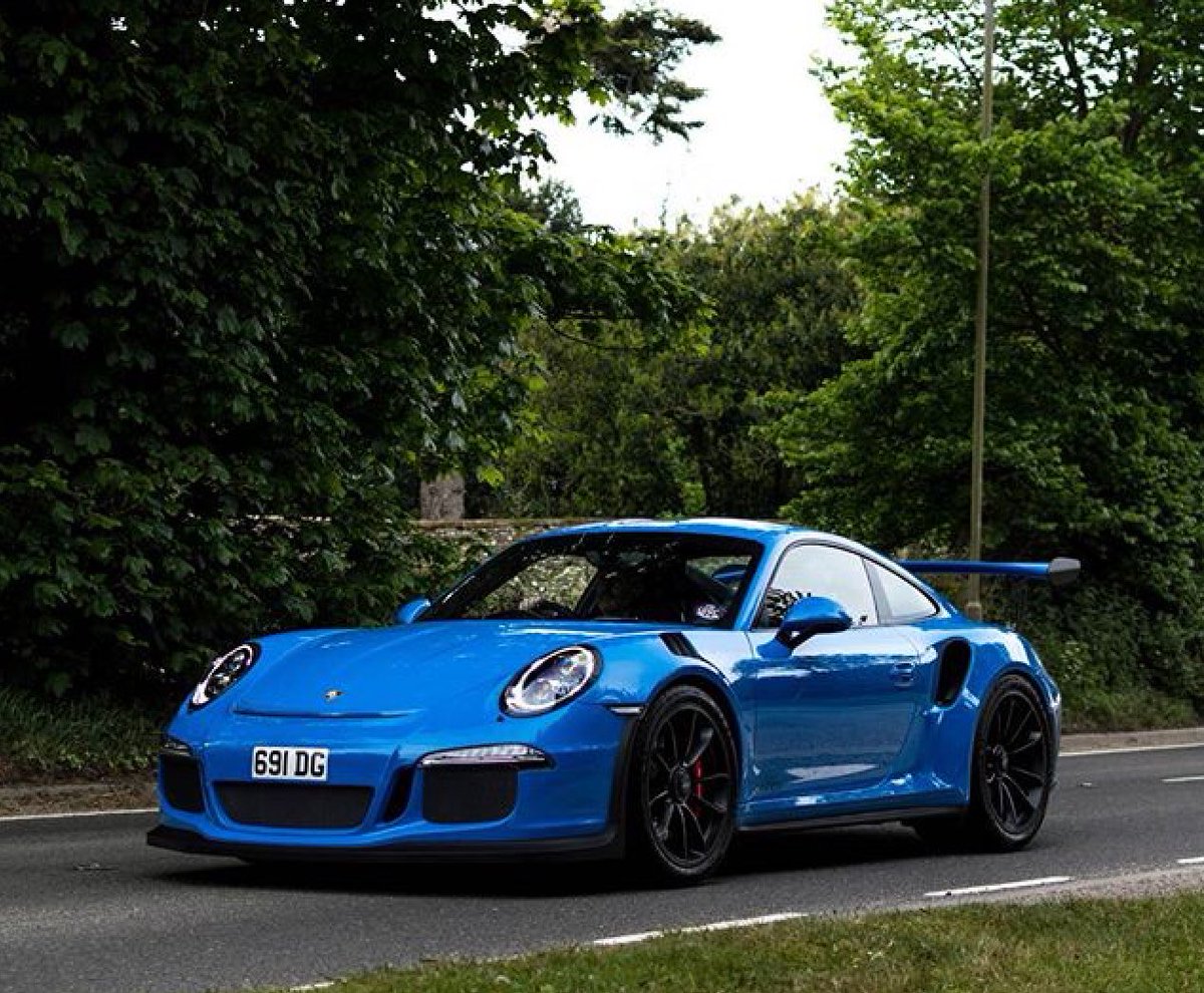 Blu_Exotics's tweet image. 