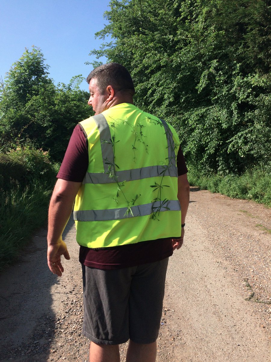 slimmeria's tweet photo. #Eat. #Walk. #Love. @Slimmeria
@dngmiles #detox #fitness #teamwork #UKsummer https://t.co/c5AN4unbna