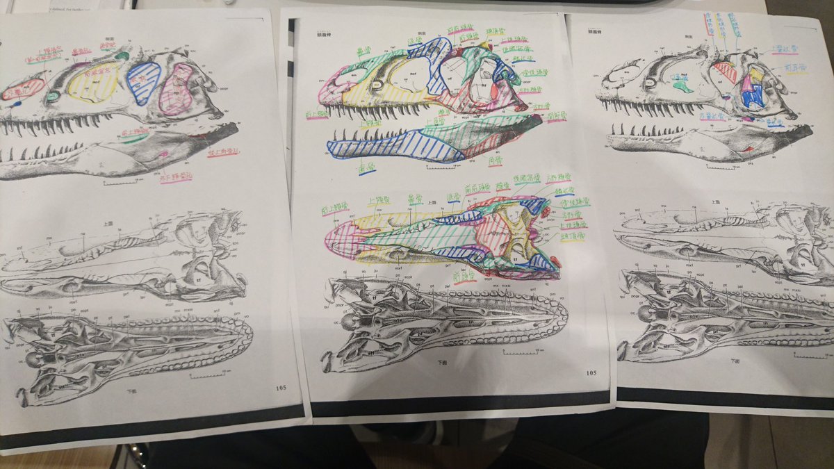 Horihito.F tweet media