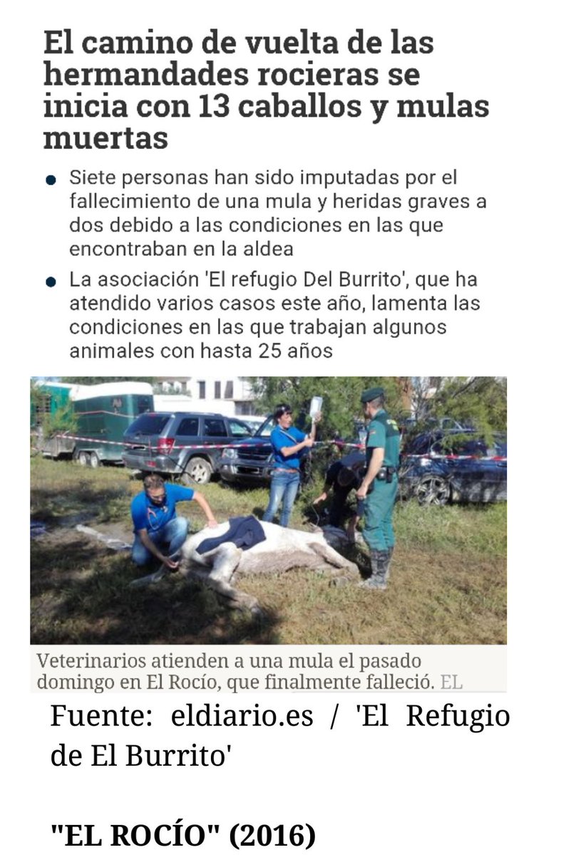 M_Berdayes's tweet photo. @PartidoPACMA Estas fueron las consecuencias de #ElRocío del año pasado (por si alguien no es consciente aún de qué tipo de "fiesta" se trata)
Repugnante👎 https://t.co/23lxMlUhGU